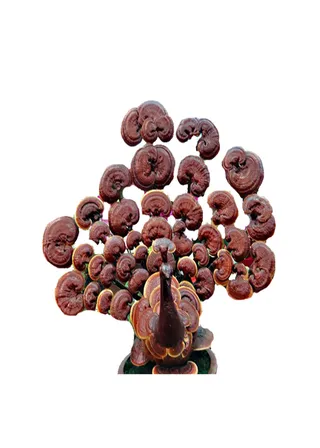 雕塑艺术psd素材