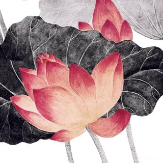 荷花吴应贞手绘