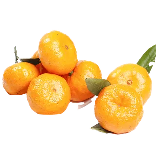 18小橘子 (1)水果超市商品白底图免抠实物摄影png格式图片透明底
