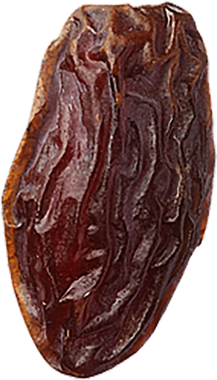 海枣免抠素材 (28)