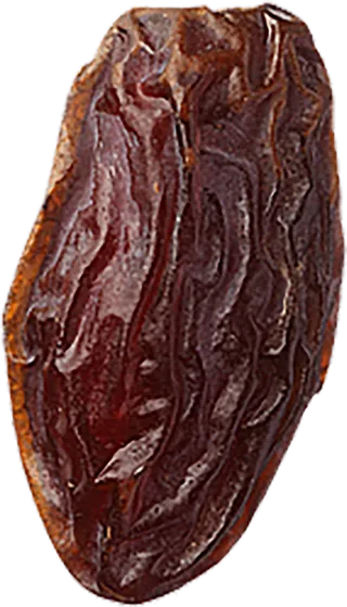 海枣免抠素材 (28)