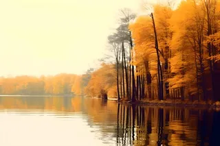 湖边树林秋季美景