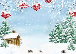 圣诞节蓝天白色风景背景墙