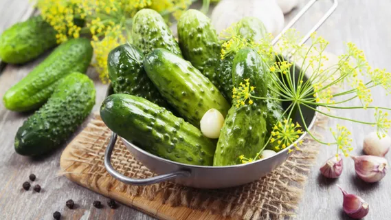 蔬菜 食物 配料 生产 有机的 黄瓜 沙拉 