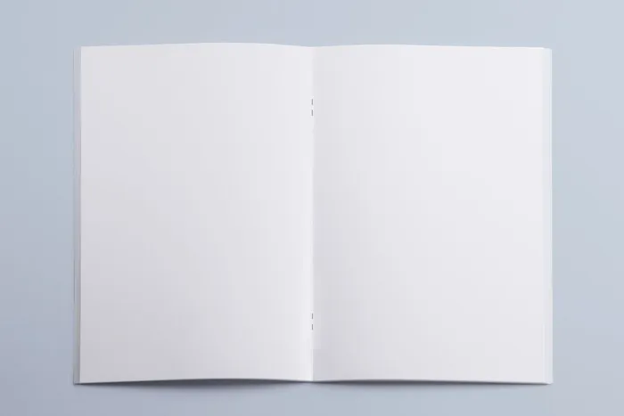产品画册提案效果样机模板psd模版下载