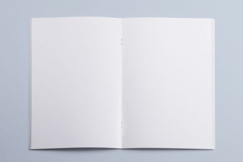 产品画册提案效果样机模板