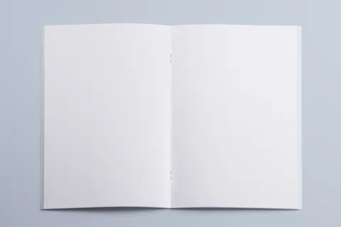 产品画册提案效果样机模板