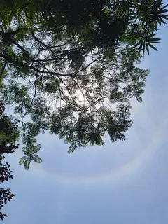 大气光学现象-日晕