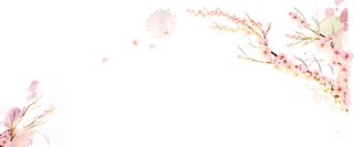 粉色简约风手绘鲜花花朵水墨画PNG素材图片 (79)