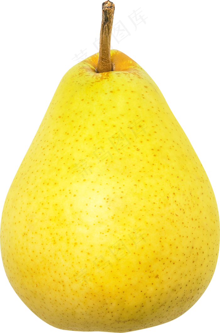 08_Pear