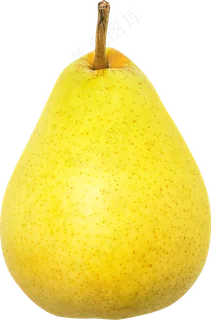 08_Pear