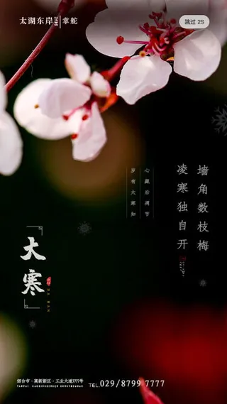 二十四24节气大寒中国传统节日冬季海报模设计素材