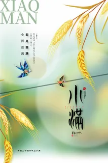 小满 传统节气海报
