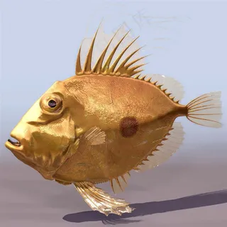 超清野生动物鱼 超清野生动物鱼