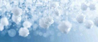 冬天冰枝冰冷枝叶雪球，小雪大雪冬至