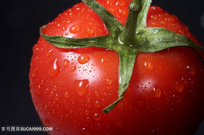 番茄广告背景素材