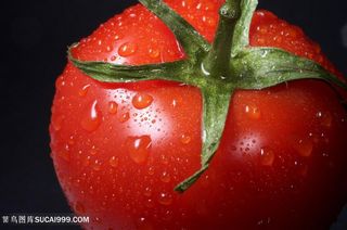 番茄广告背景素材