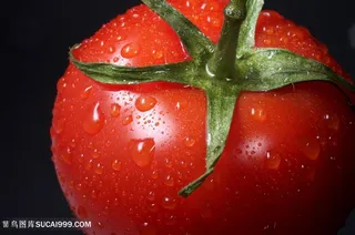 番茄广告背景素材