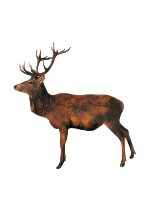 鹿动物免扣素材透明背景野马