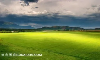 一望无际的草原风景图片