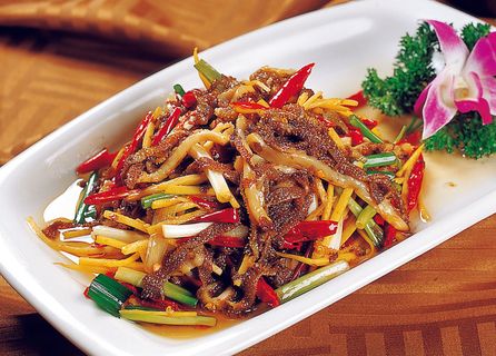 CXC06191小炒毛肚