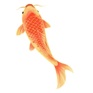 手绘烫金国潮中国风卡通锦鲤鱼金鱼插画装饰元素PSD设计素材