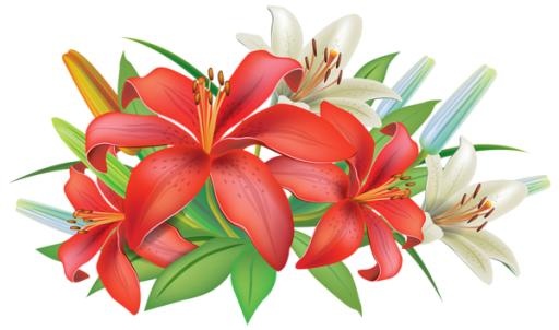 百合花免抠(600x355)