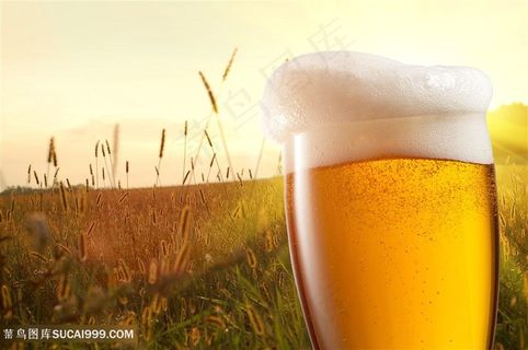 麦芽酒啤酒啤酒花