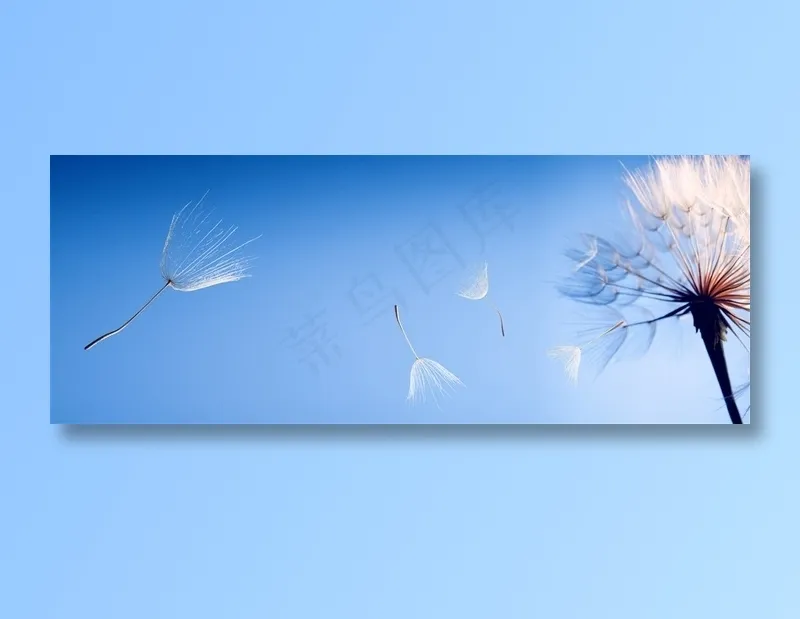蓝色天空下飞舞的蒲公英高清图片