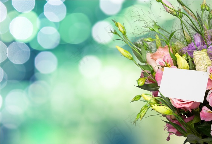 唯美鲜花高清摄影图片