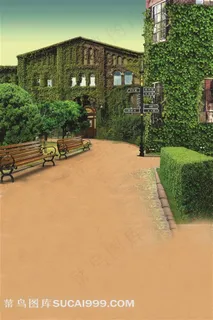 道路长椅爬山虎摄影背景图片 道路长椅爬山虎摄影背景图片