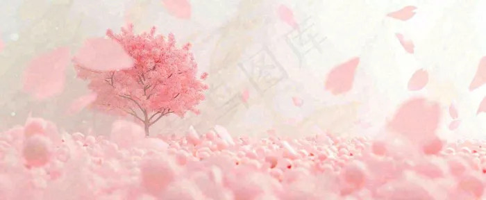 春天粉色樱花浪漫树枝花瓣花朵，阳光清新立春(1712x704)