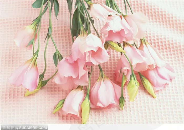 插花艺术-倒放的百合花