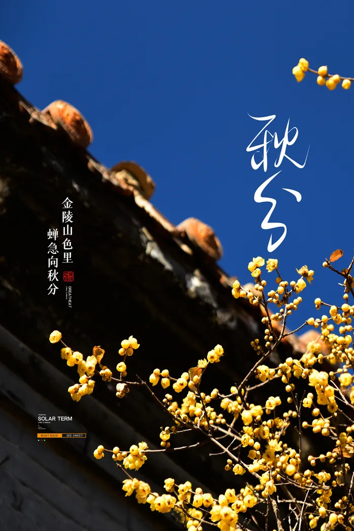创意秋分活动宣传模板psd模版下载