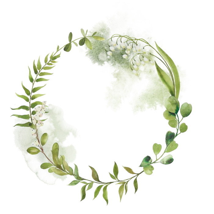 植物绿叶花环清新手绘卡通插画免抠