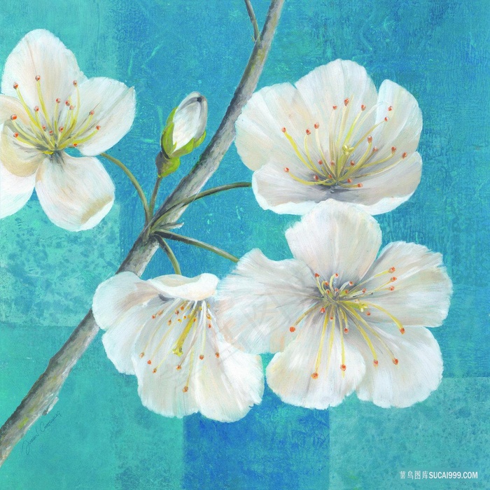 唯美白色花卉花瓣油画