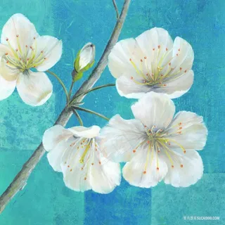 唯美白色花卉花瓣油画 唯美白色花卉花瓣油画