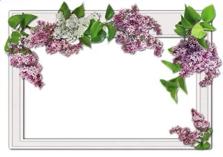 图片,相框PNG免抠