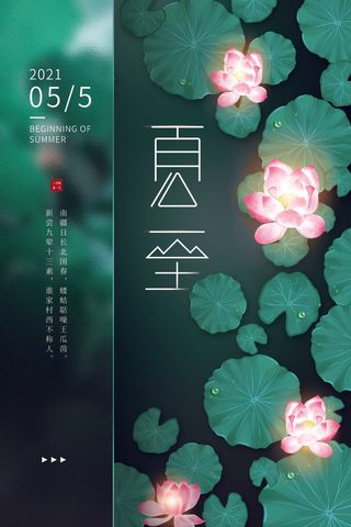 蓝色手绘荷花小清新夏至日节日海报