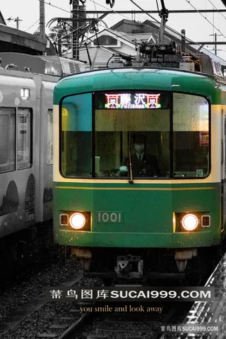 唯美绿皮火车装饰画风景画