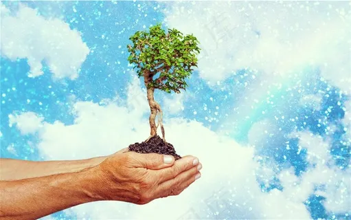 捧在双手上的树木泥土创意高清图