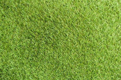 绿色草地高清图片背景