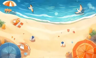 夏日海滩海边浪花海鸥背景