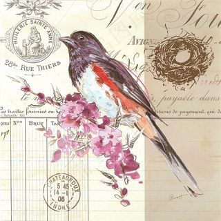 欧式花鸟装饰画