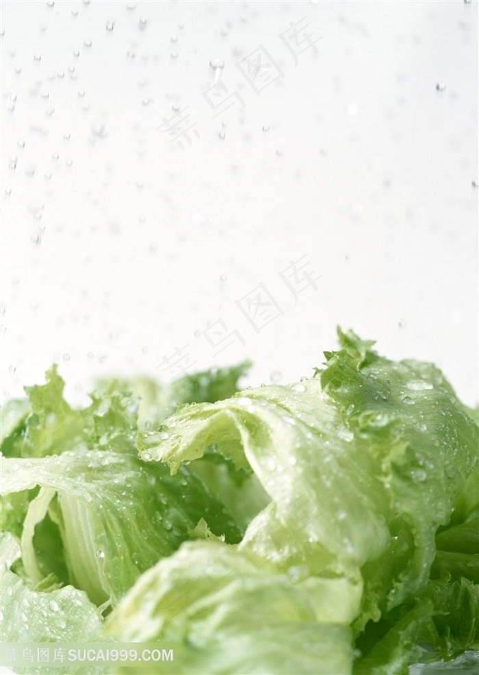 新鲜生菜蔬菜高清素材