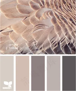 家禽鸟类配色色卡色彩搭配 家禽鸟类配色色卡色彩搭配