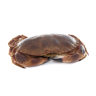 螃蟹(40)海鲜超市商品红酒白底图免抠实物摄影png格式图片透明底