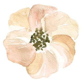 唯美森系手绘水彩花朵 免抠