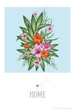 唯美植物水彩花卉插画