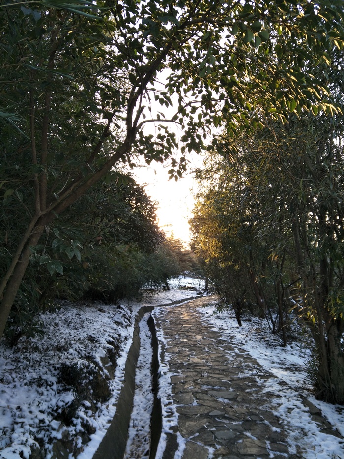 雪后的景色